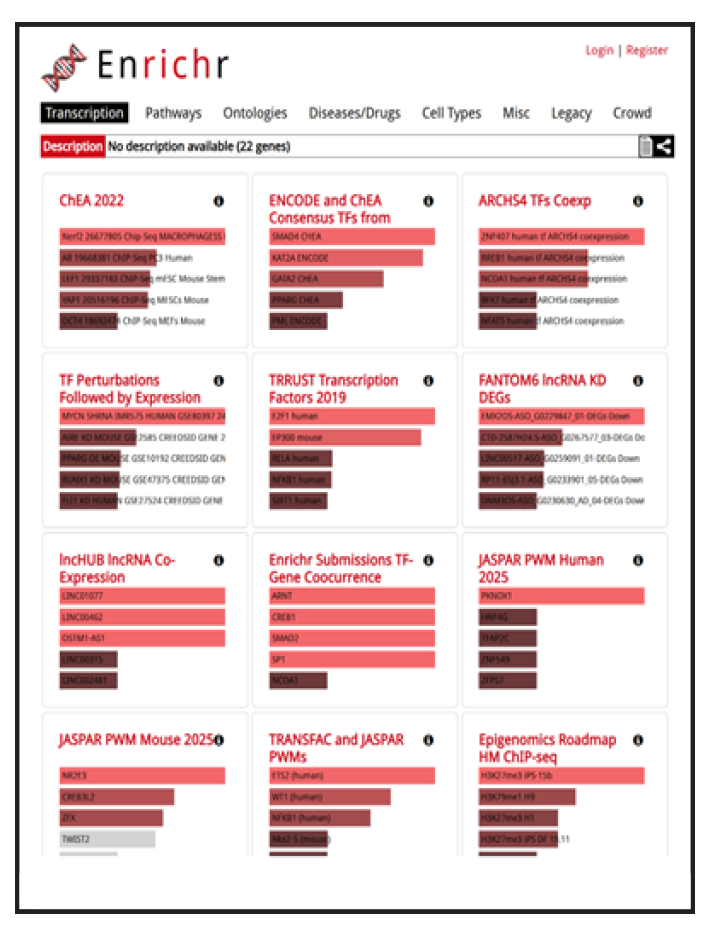image of pathway enrichment table