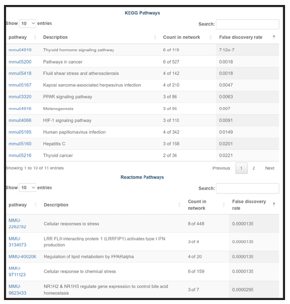 image of pathway enrichment table