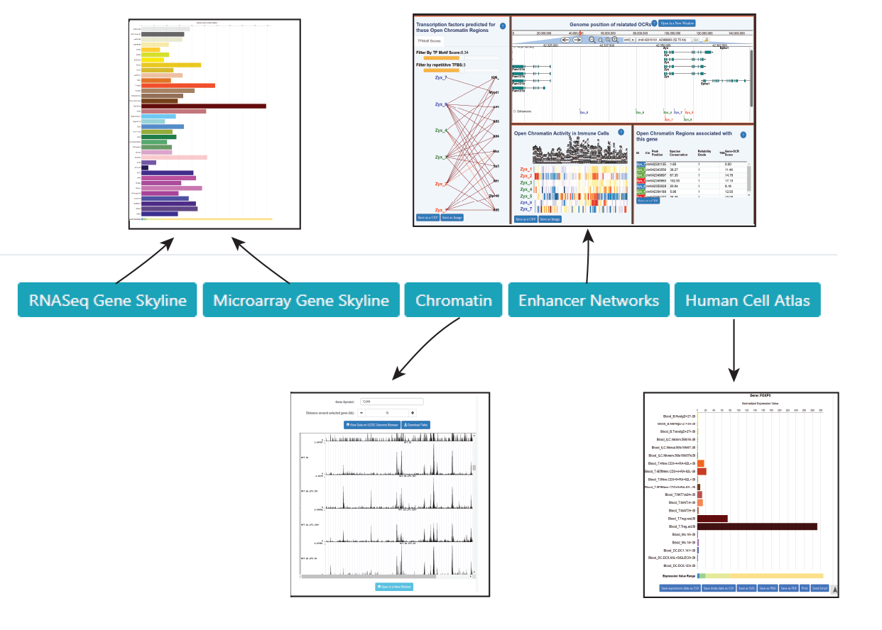 screen shots of various related Immgen databrowsers and their respective button location