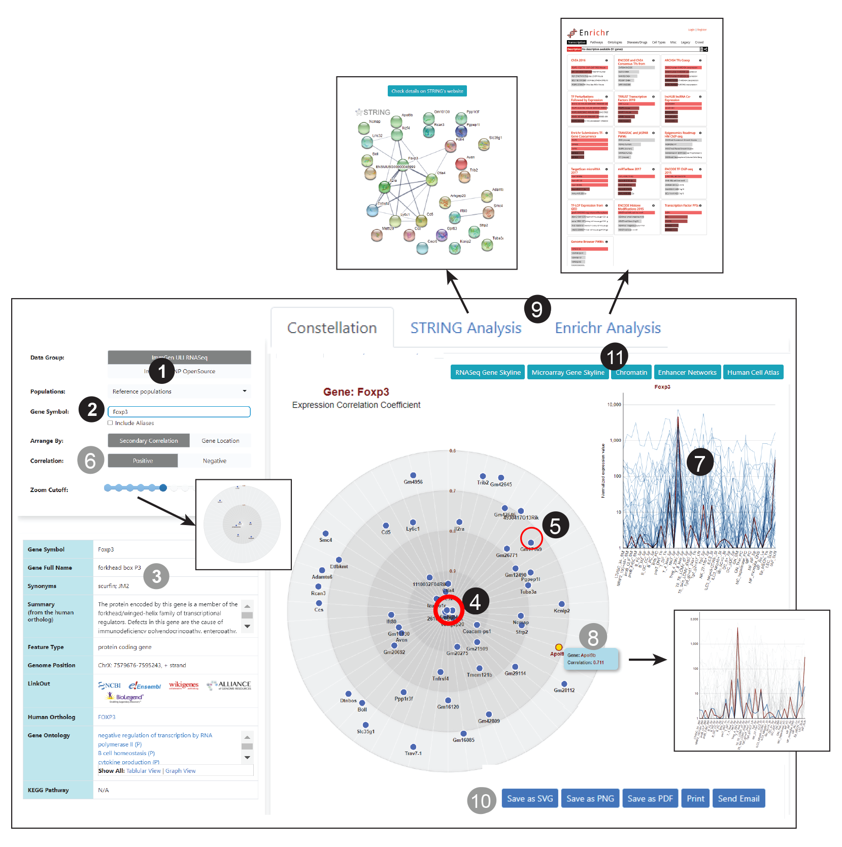 image of MyGeneSet page with general tutorial steps