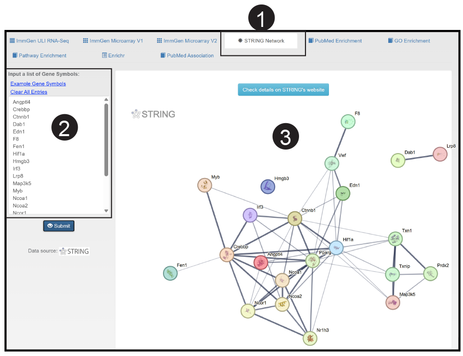 image of String database page with tutorial steps