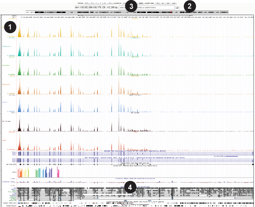 Deep RNAseq