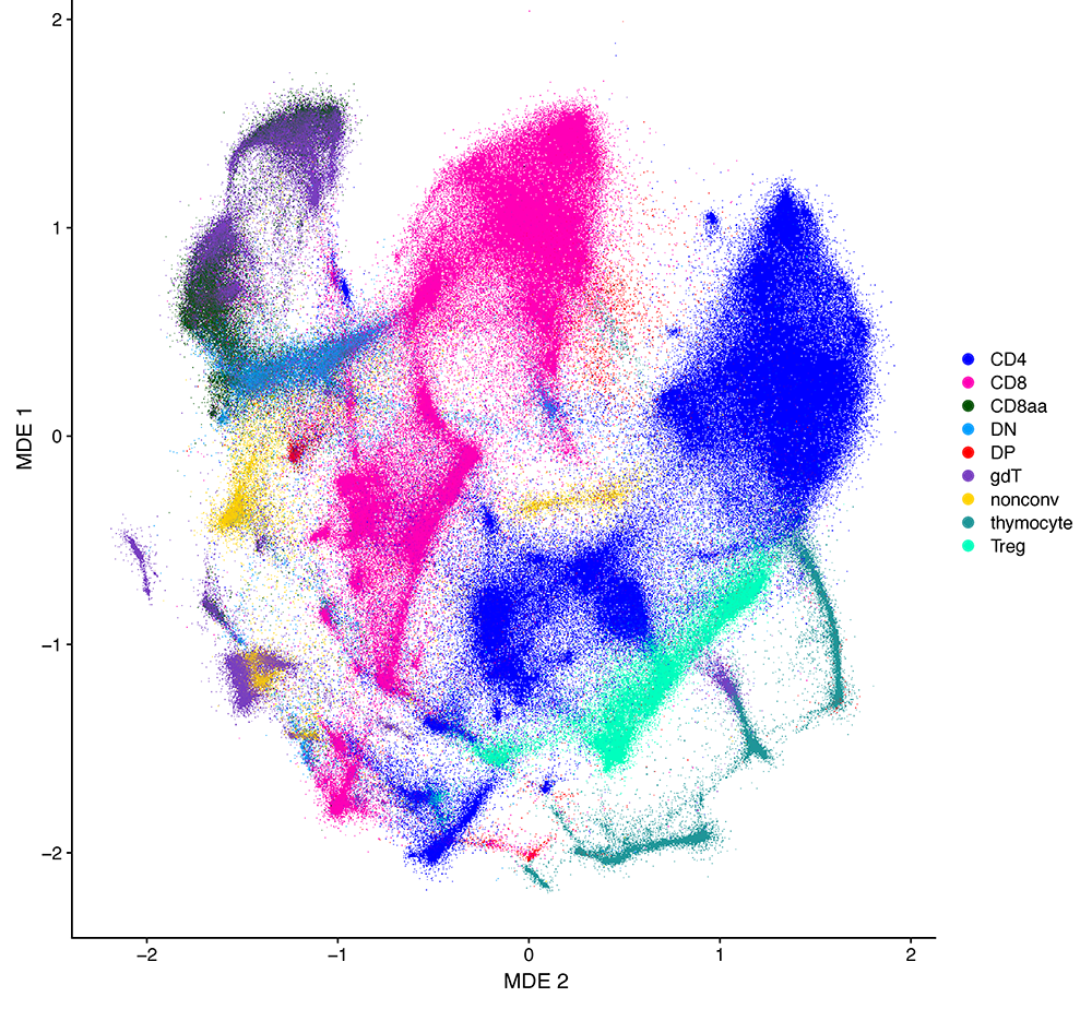 main population Image